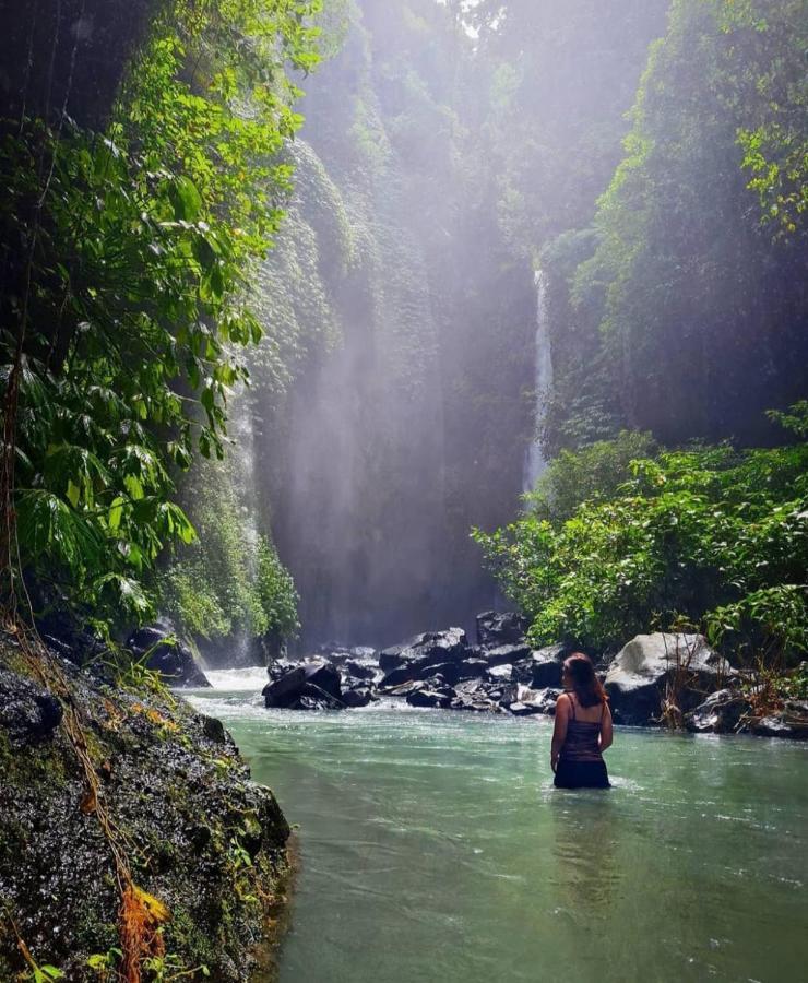 Munduk Kupang Sekumpul Villa ซีงาราจา ภายนอก รูปภาพ